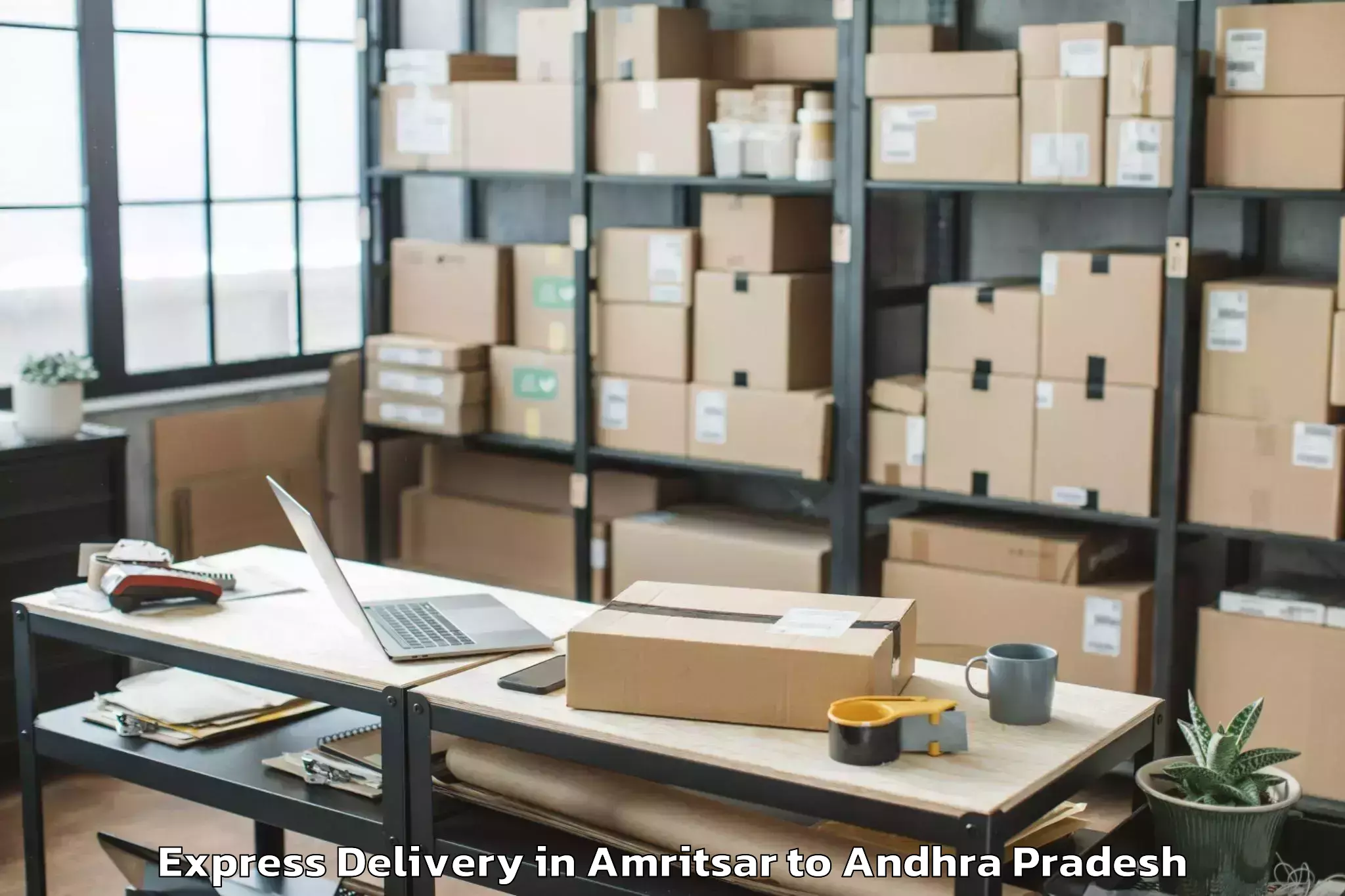 Book Amritsar to Peddavadugur Express Delivery Online